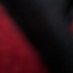 Meet your Posher, Dion